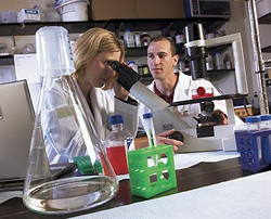 herald columnist mike kelly als...