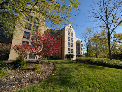 College of Arts and Sciences
