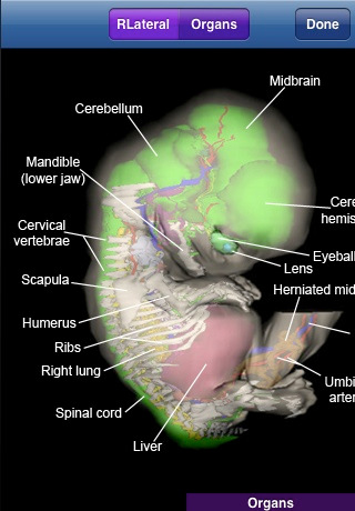 embryo-screenshot