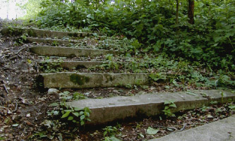 Fontenelle Forest