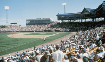 Rosenblatt Stadium