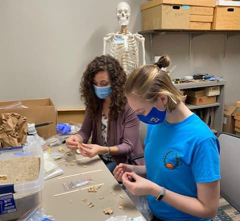 Dr. Blankenship-Sefczek and Marie Day doing dental analysis in the lab