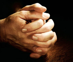 Hands folded in prayer