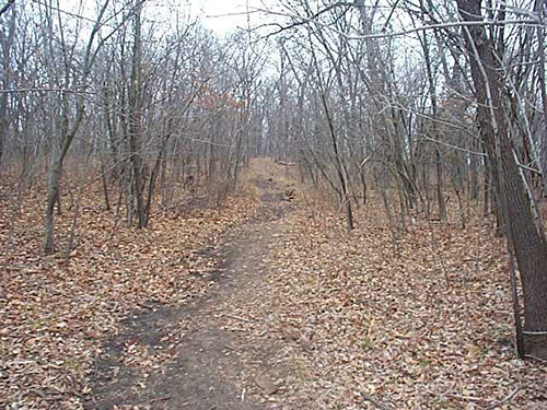 A hiking trail at the Retreat Center