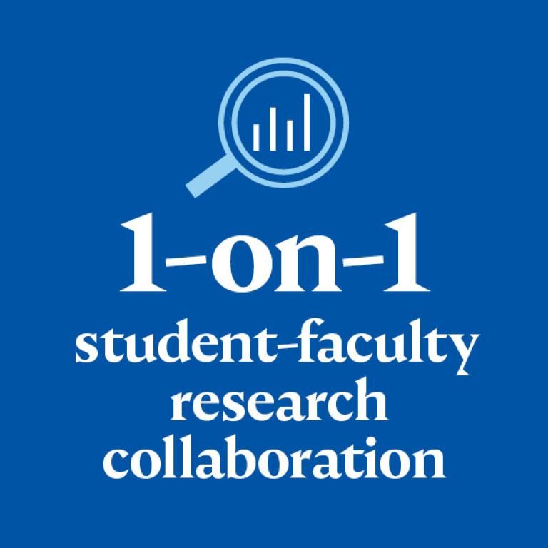1-on-1 student-faculty research collaboration