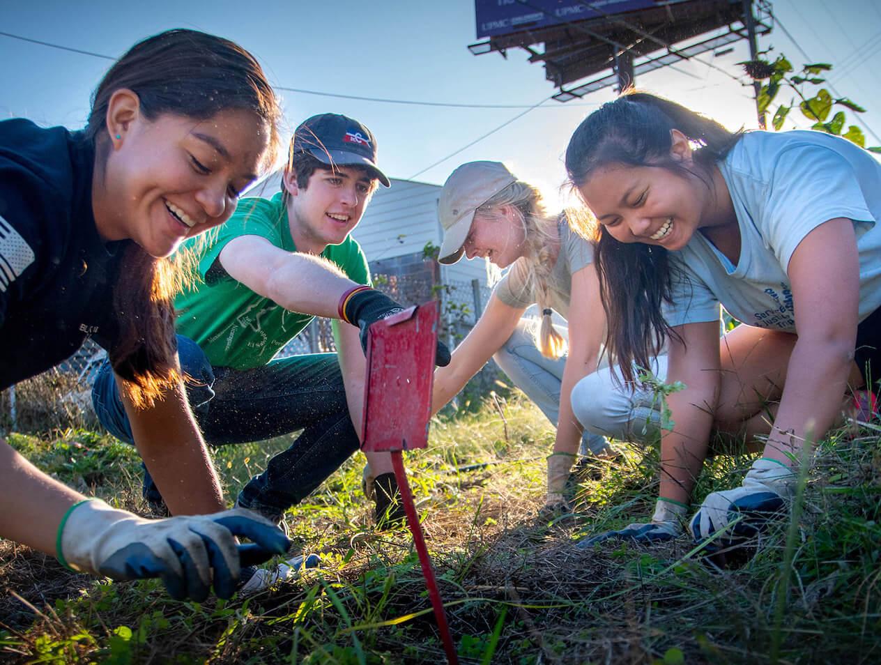 A group of Creighton students pulling weeds during a service trip