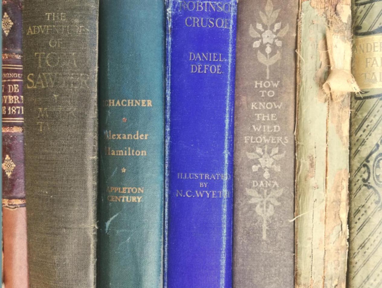 Book spines image
