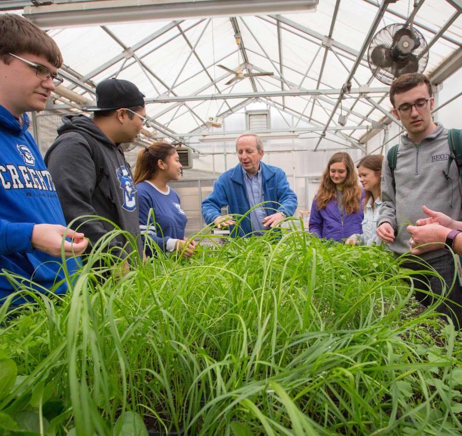 Sustainability students learning in greenhouse