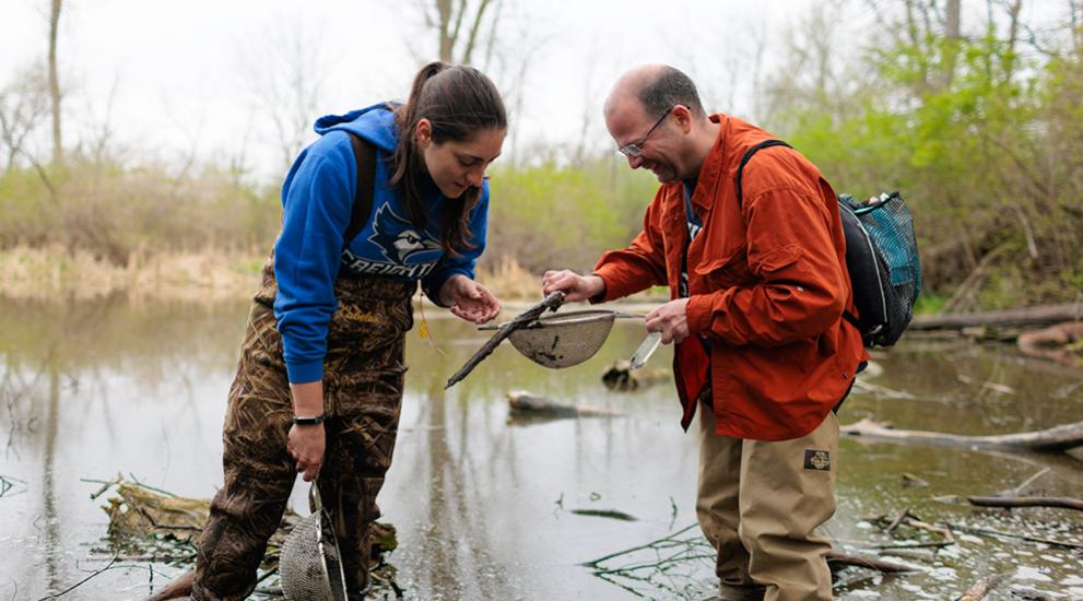 Faculty working with students studying wildlife in a wetland environment.