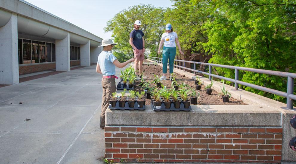 Students working in pollinator garden on campus.