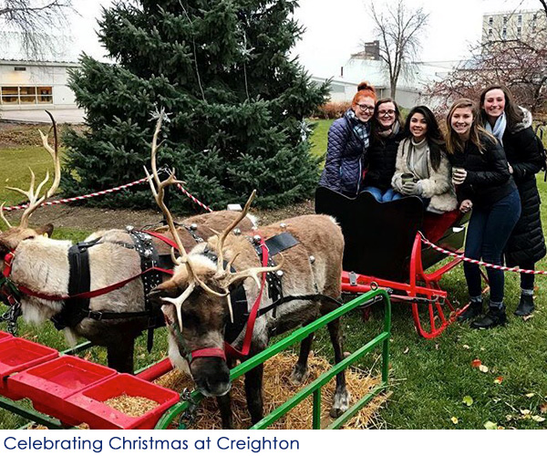 A group of females sitting in a reindeer sleigh