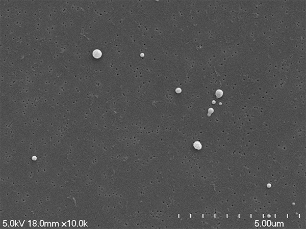 Electron microscopic image of TAF +EVG nanoparticles