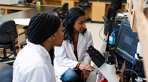 Two undergraduate students working on a research project in a lab