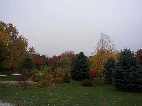 View of the Retreat Center grounds looking toward the duck pond