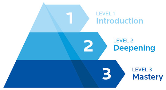 Experience levels pyramid showing three levels