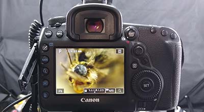 Canon camera with macro lens