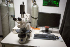 Zeiss Epi-fluorescent Microscope 