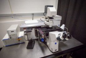 Zeiss Laser Microdissection