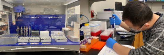 In vitro drug screening equipment
