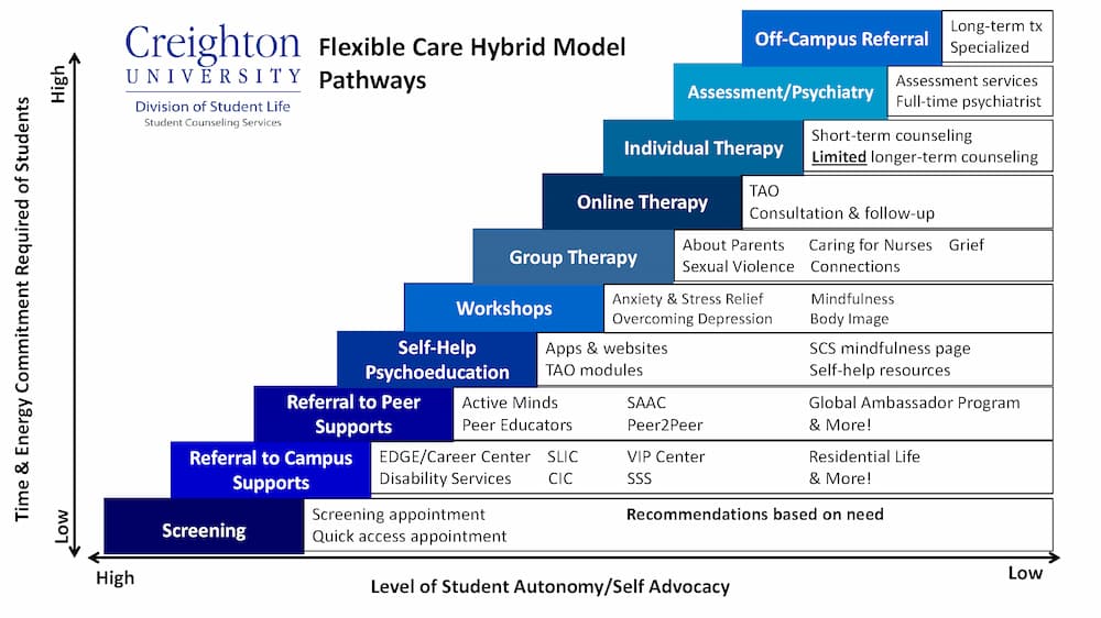 Flexible Hybrid Care Model