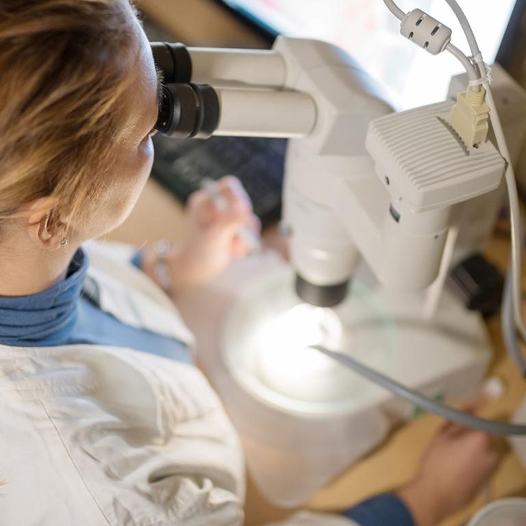 A medical professional using a microscope