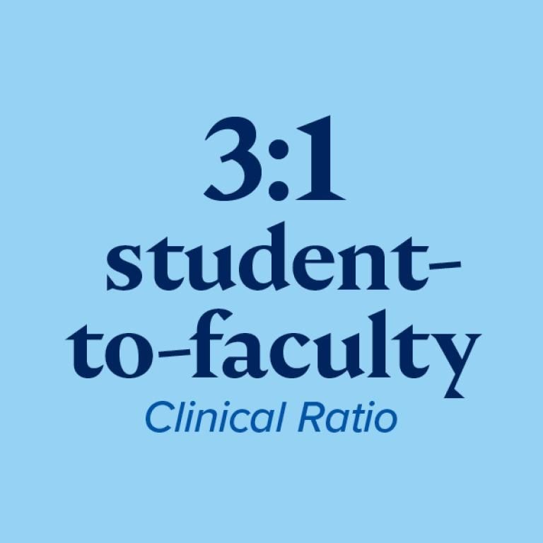 3:1 student to faculty clinical ratio
