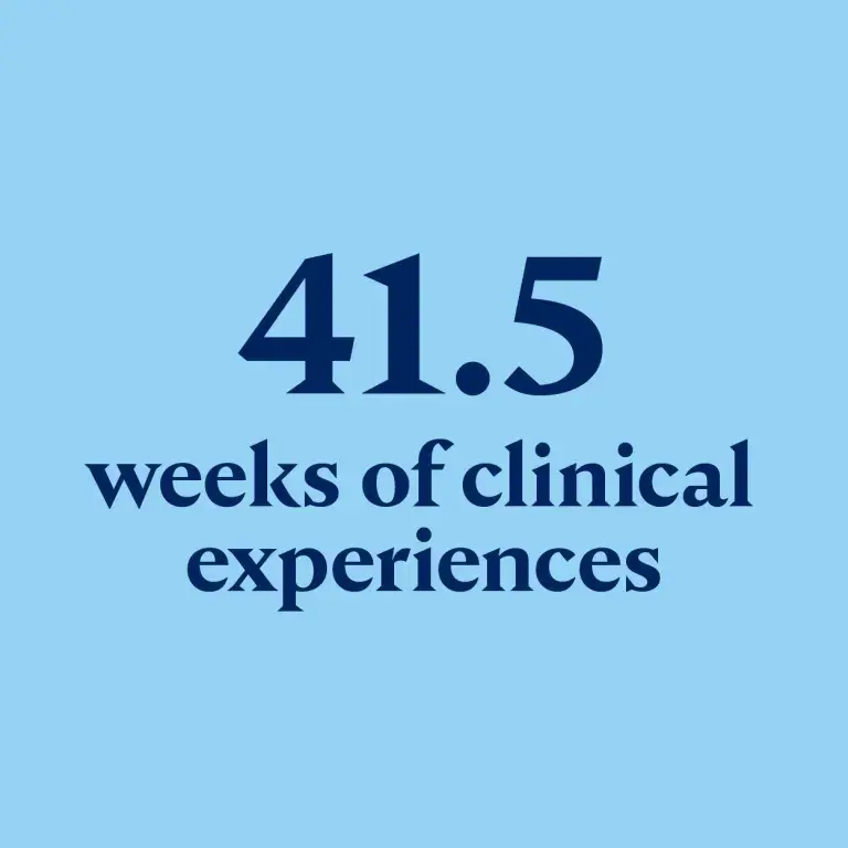 41.5 weeks of clinical experiences