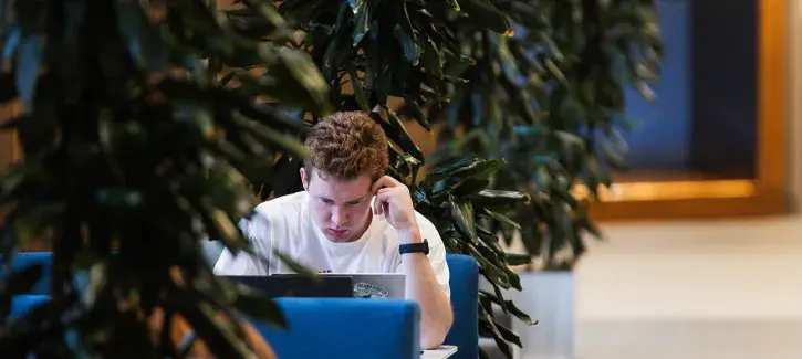 Student working on laptop