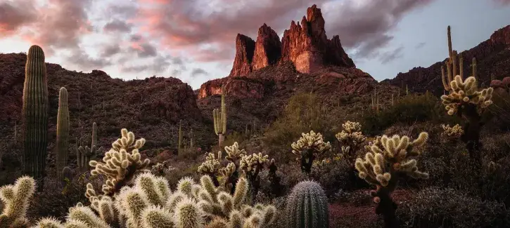 Population Health Photo Contest