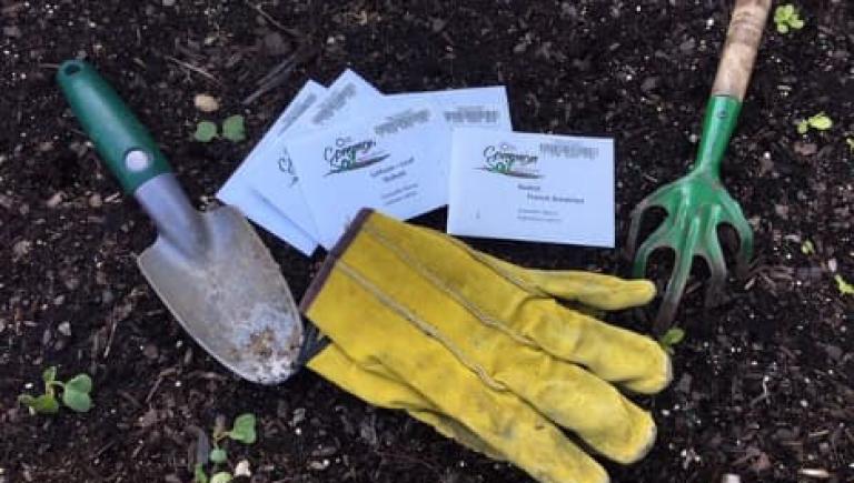 Garden tools, gloves, and seed packets sitting on dirt