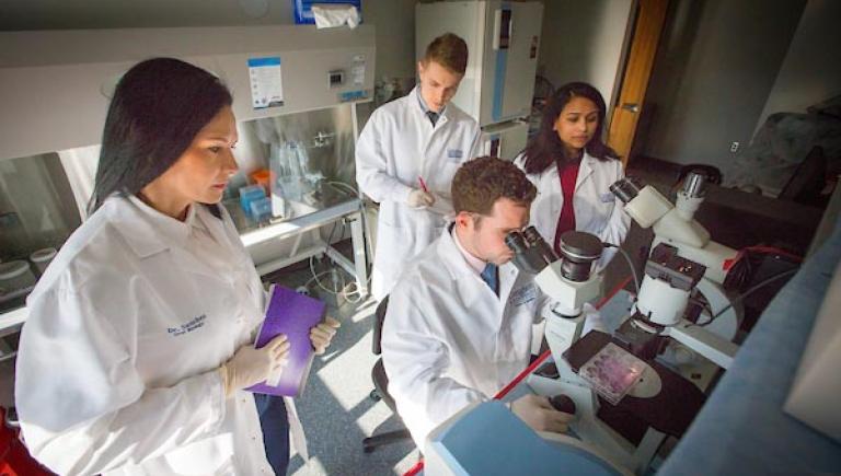 Creighton dental researchers looking at samples under microscope in lab setting.