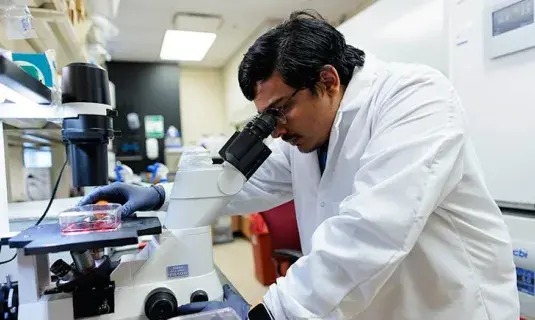 Medical student using microscope