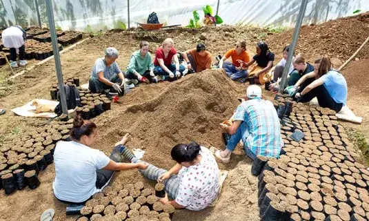 Group gathered outside in planting area.