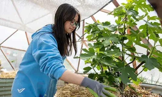 Female student working with plant.