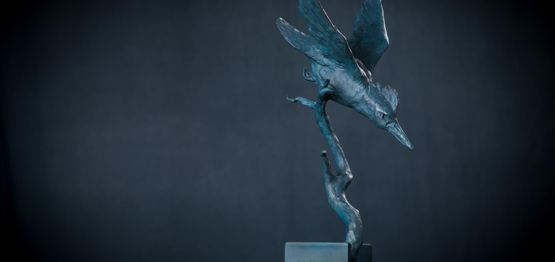 Kingfisher Award