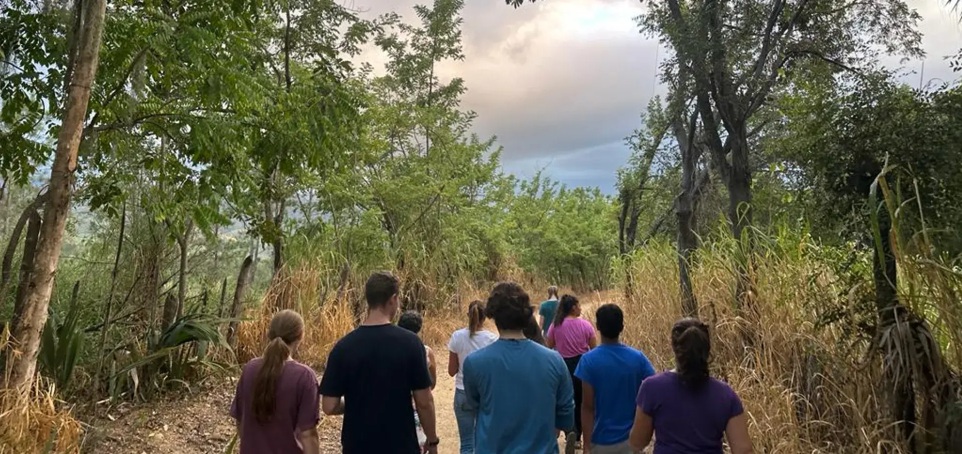 group walking down a road