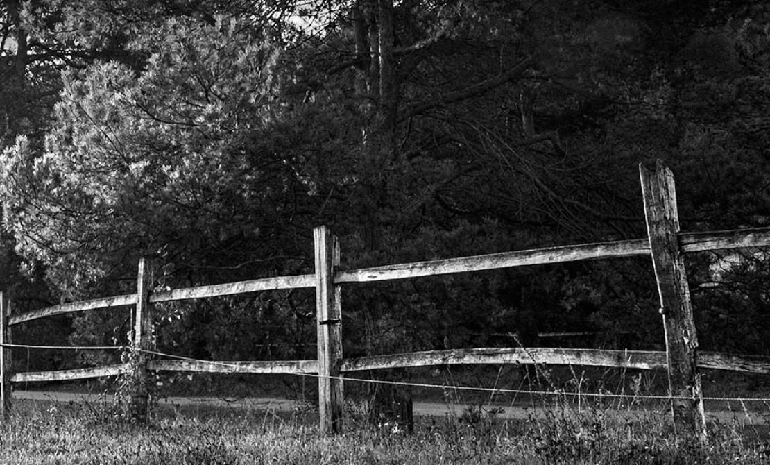 rustic fence
