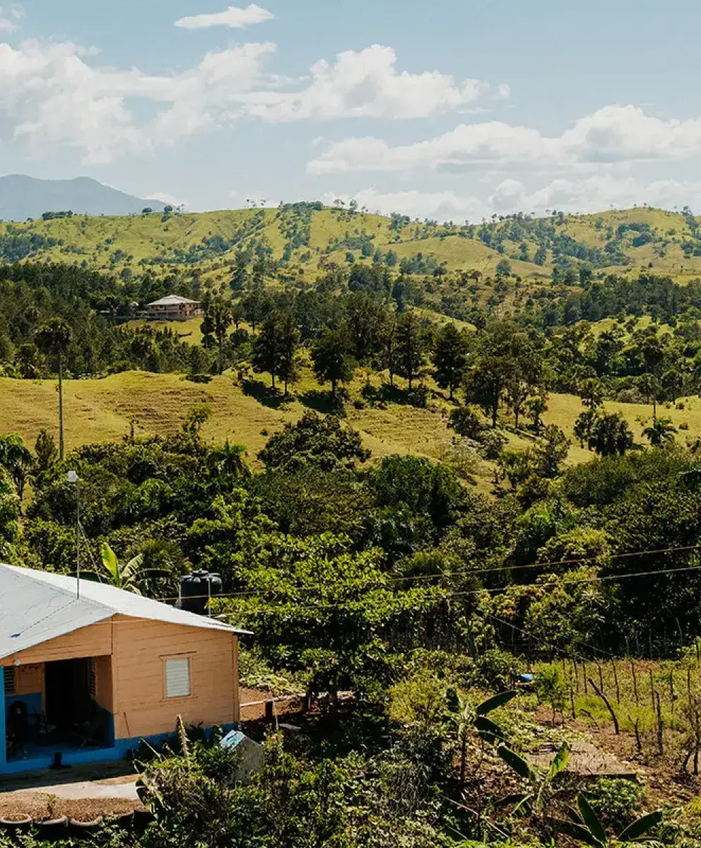 Countryside landscape