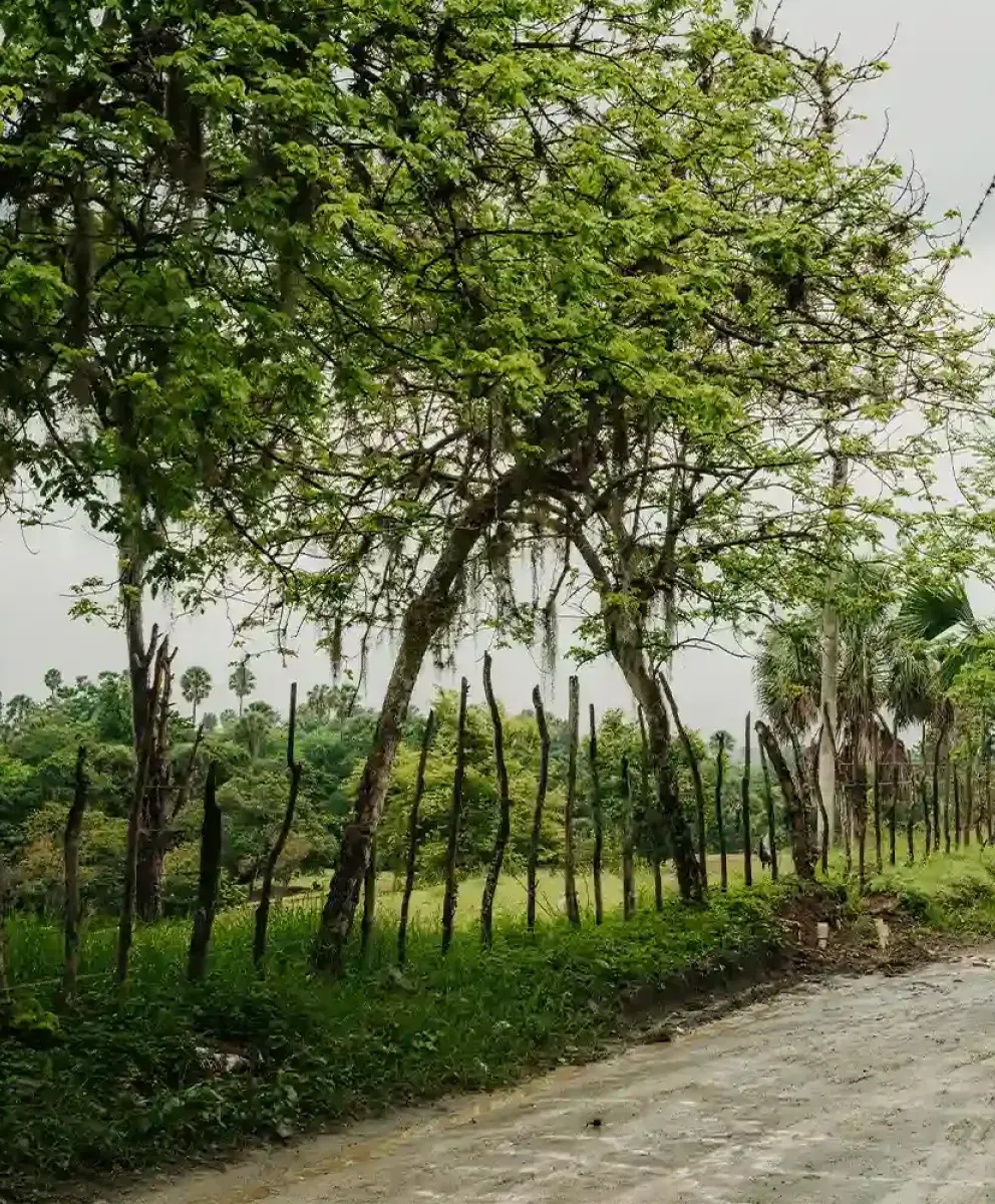Wide shot of students in vehicle traveling in Dominican Republic.