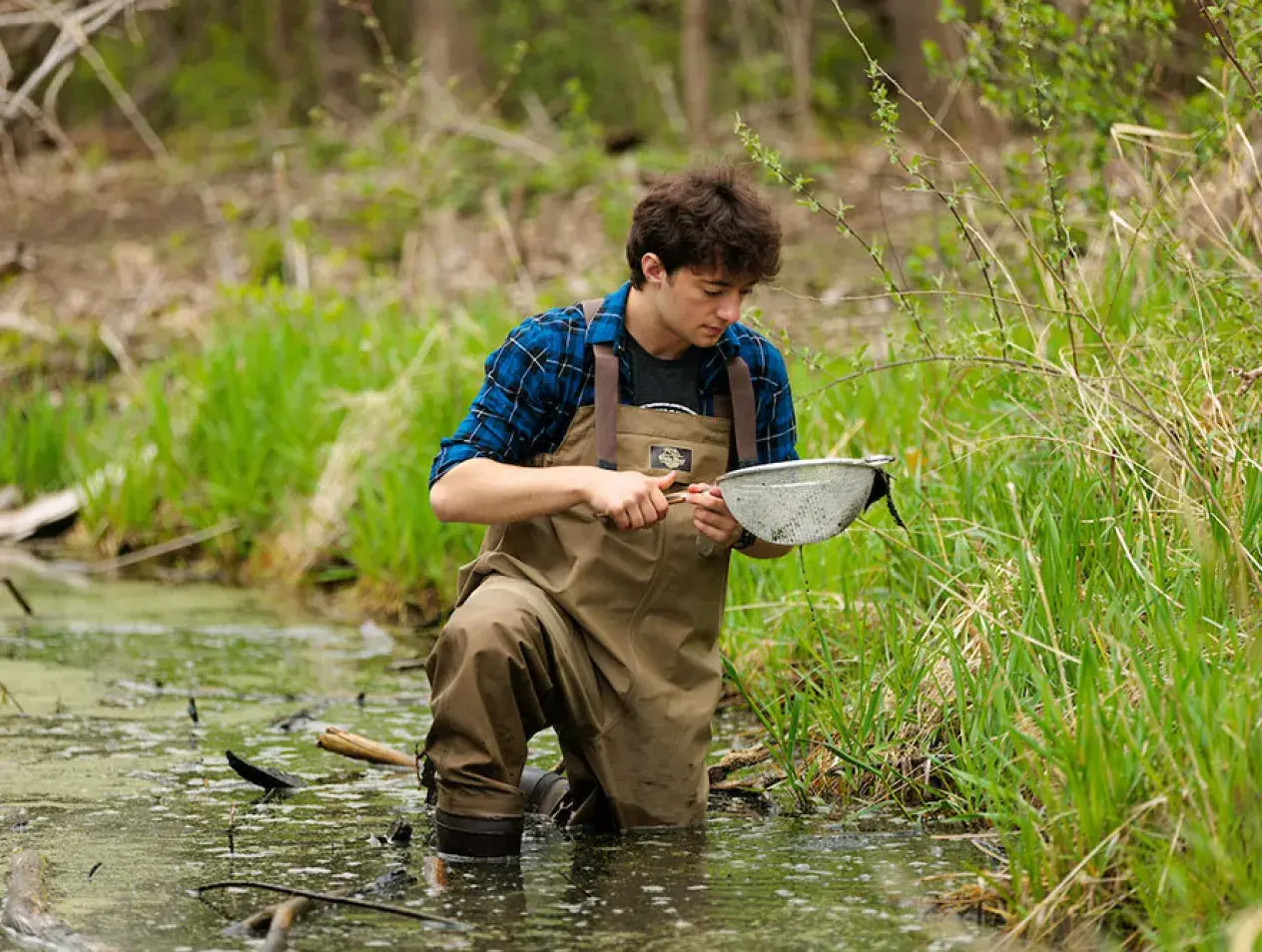 Student doing field research