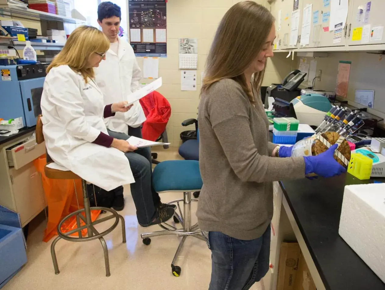 Students working in lab
