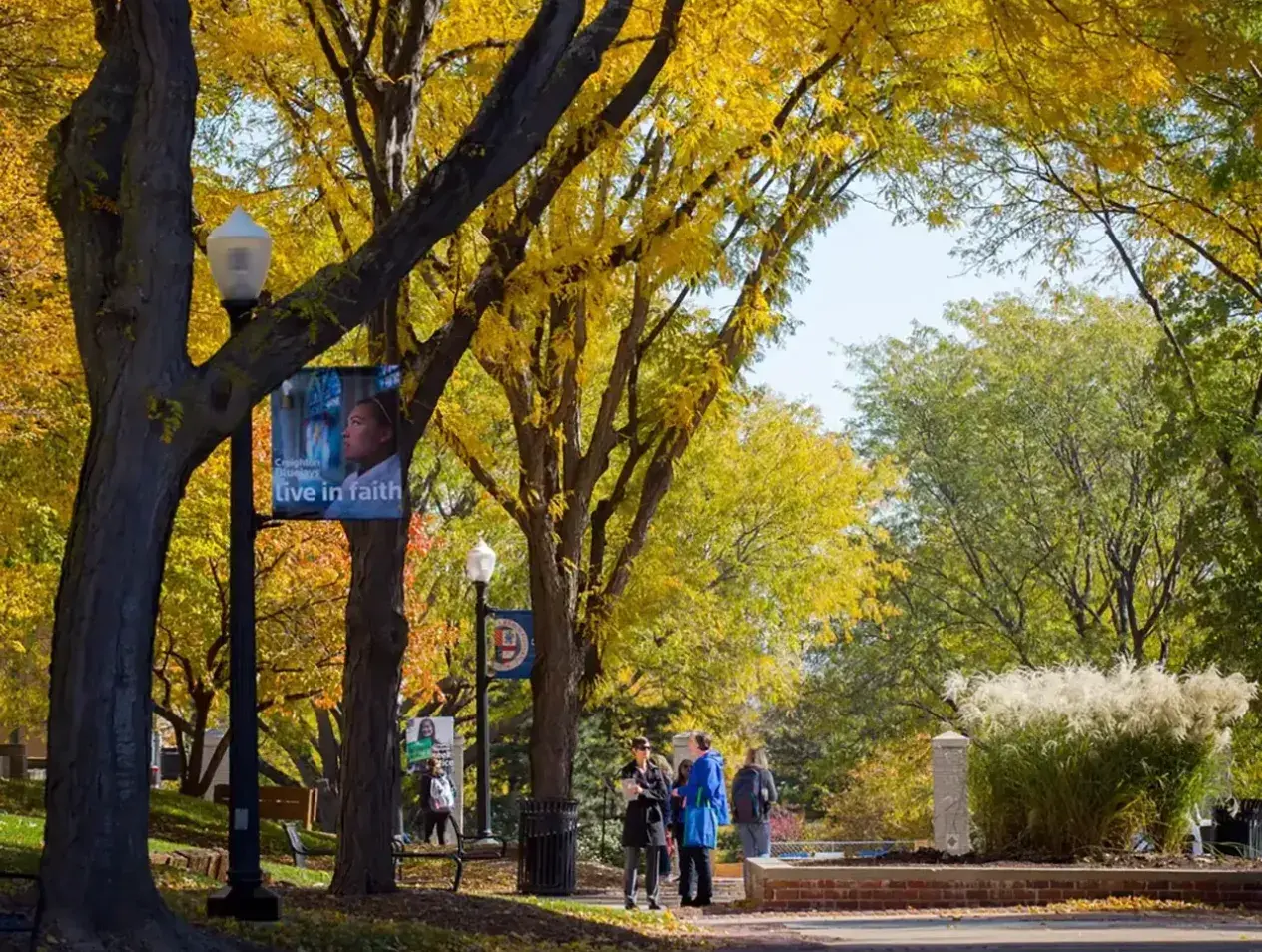 Students talking on campus mall in fall.