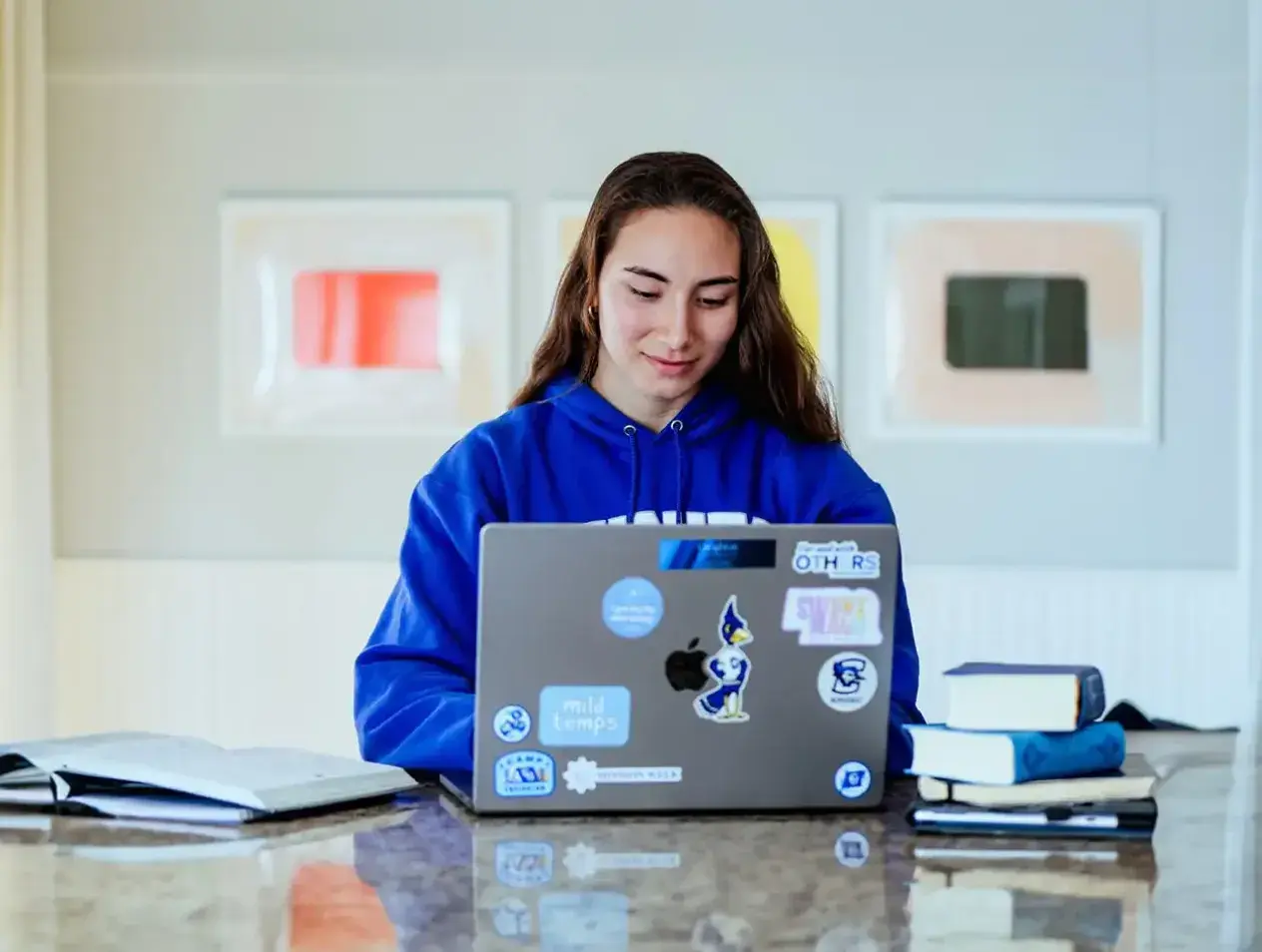 Student studying on laptop