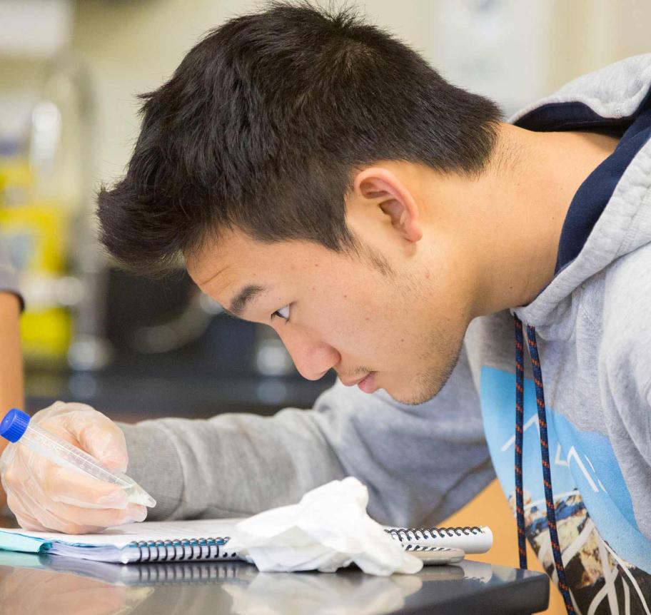 Student checking results in lab