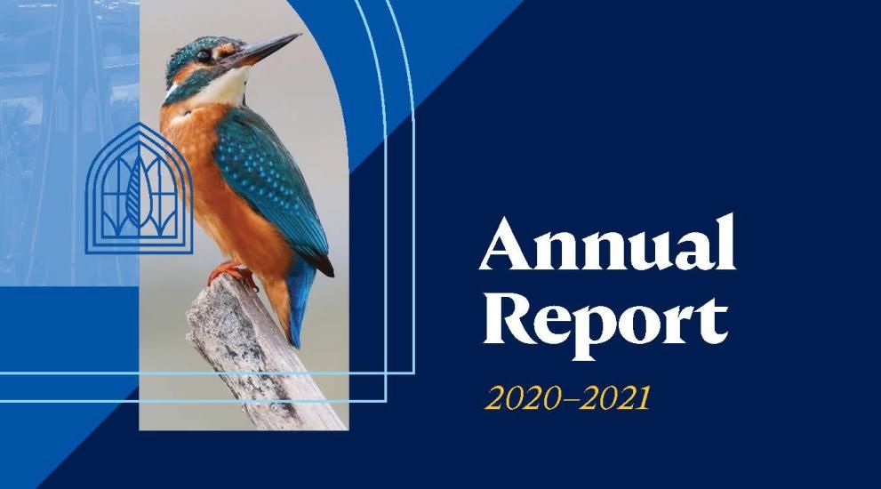 Kingfisher Annual Report cover image