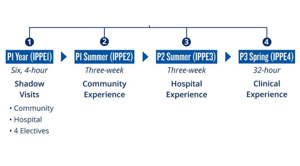 Introductory Pharmacy Practice Experiences by year