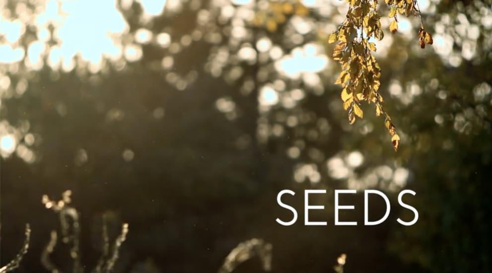 The Seeds Documentary