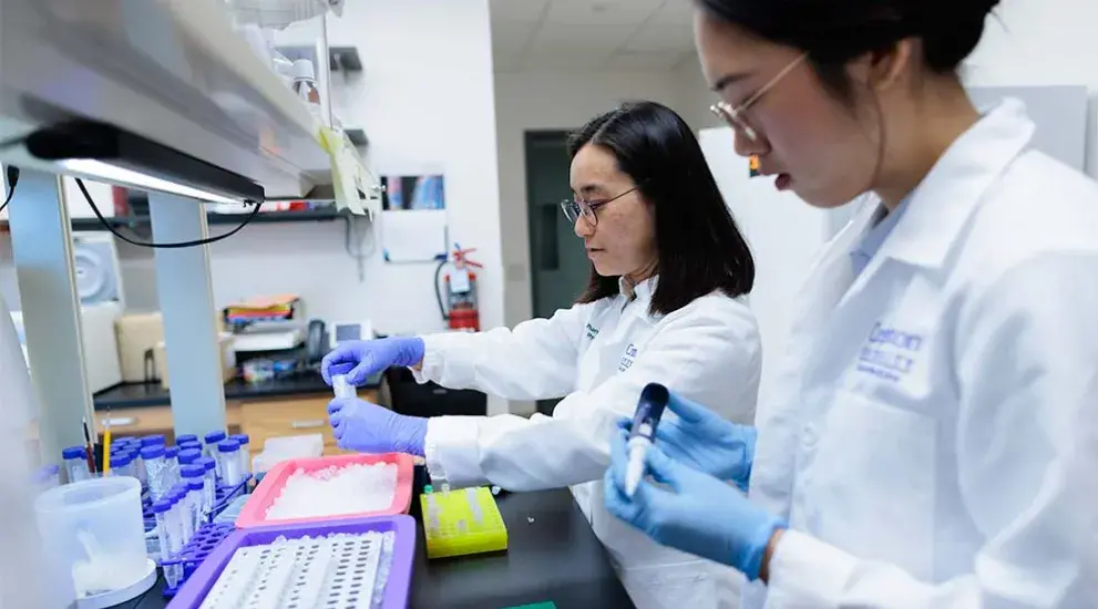 Students conducting research in medicine