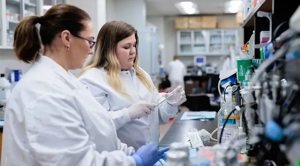 Medical students doing research in lab