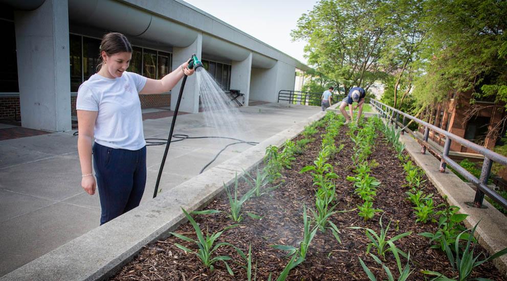 Student watering garden